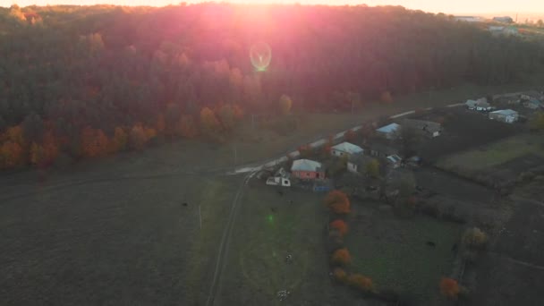 Vuelo Aéreo Sobre Bosque Rural Amanecer Puesta Sol Humo Otoño — Vídeo de stock