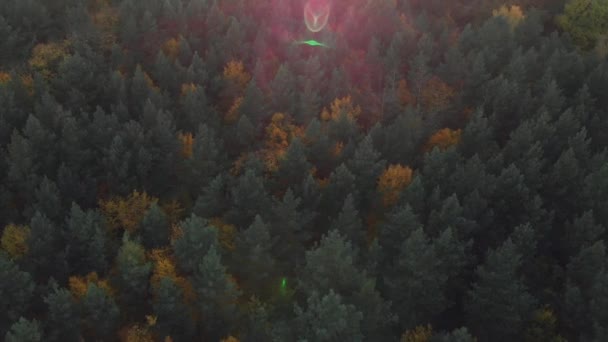 日の出 秋の夕日里山上記航空フライ — ストック動画