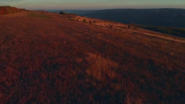 Luchtfoto Vliegen Boven Het Veld Bij Bakota Bay Oekraïne Schilderachtige — Stockvideo