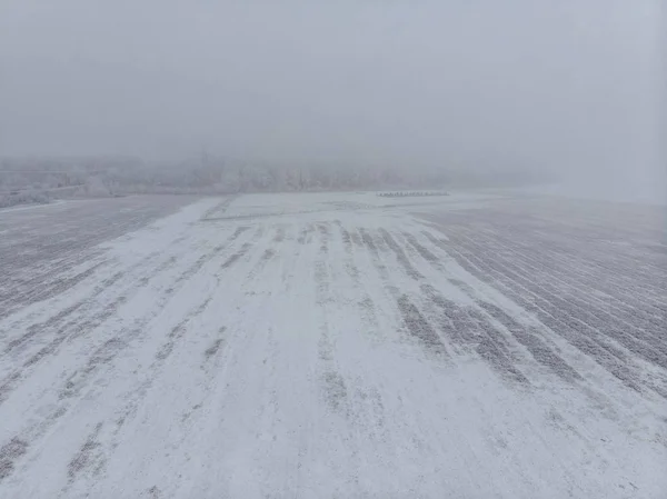 Campo e alberi bianchi ghiacciati nella nebbia in inverno, vista aerea dall'alto — Foto Stock