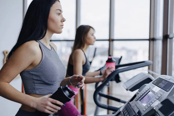 Girls in the gym are trained on treadmills and drink water, smiling