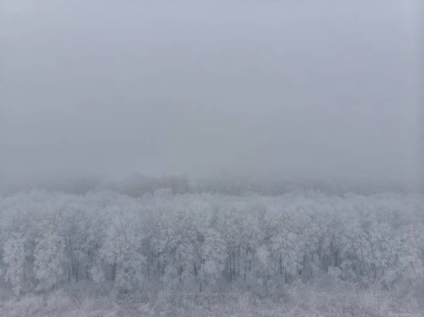 Campo e alberi bianchi ghiacciati nella nebbia in inverno, vista aerea dall'alto — Foto Stock