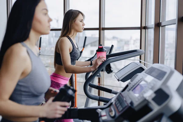 Girls in the gym are trained on treadmills and drink water, smiling