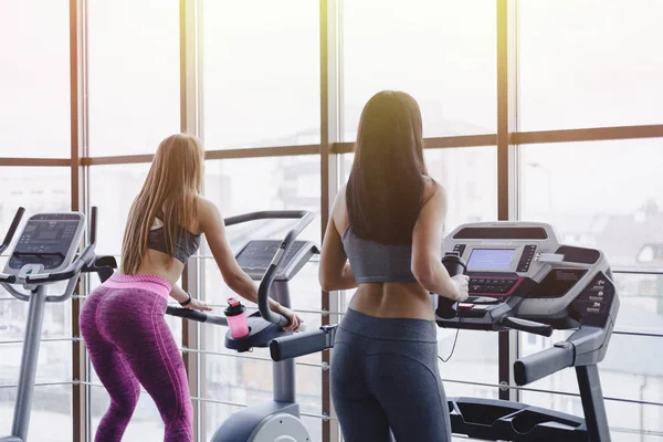 Girls in the gym are trained on treadmills and drink water, smiling