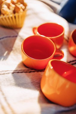 meyve, şarap ve çay, bardak, kruvasan ve tatlılar detayları ile bir halı üzerinde yaz piknik