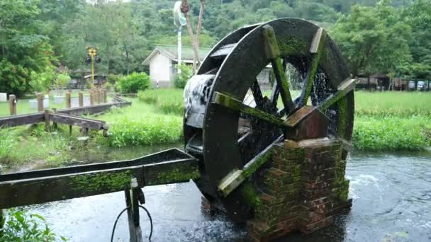 Roue roulante dans la nature campagne 