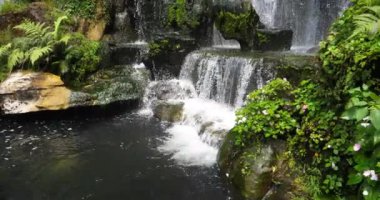 Doğal doğa güzel şelale yeşil bitki yaprak ve tatlı su birikintisi