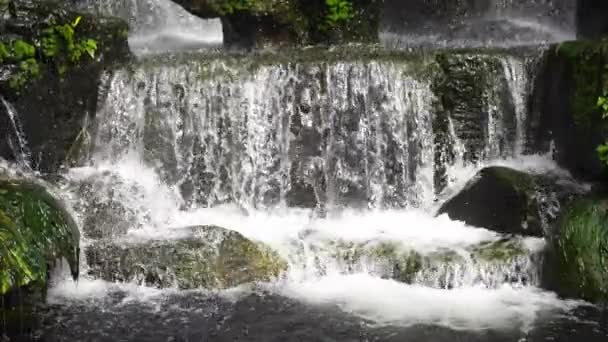 Malerische Natur Des Schönen Wasserfalls Super Zeitlupe Grünes Pflanzenblatt Und — Stockvideo