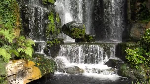 超スローモーションの緑植物の葉と新鮮な水の池で美しい滝の風光明媚な自然 — ストック動画