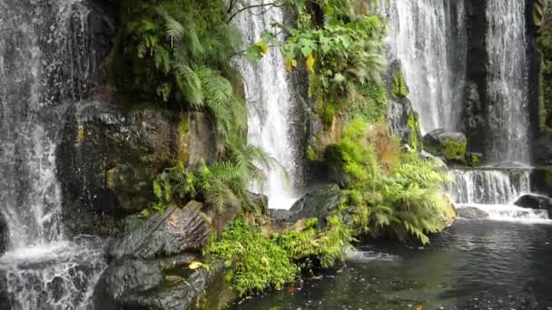 超スローモーションの緑植物の葉と新鮮な水の池で美しい滝の風光明媚な自然 — ストック動画