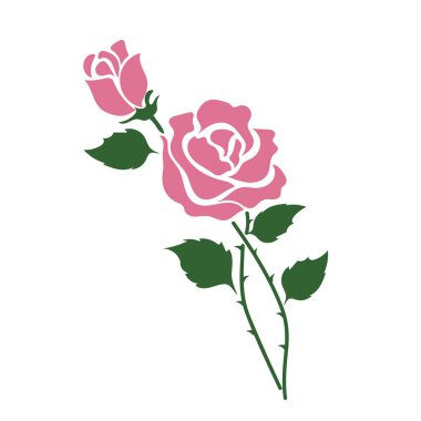 Doğa çiçek pembe gül, vektör Botanik Bahçe çiçek yaprak bitki.