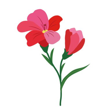 Doğa Çiçek Kırmızı frezya, vektör Botanik Bahçe çiçek yaprak bitki.