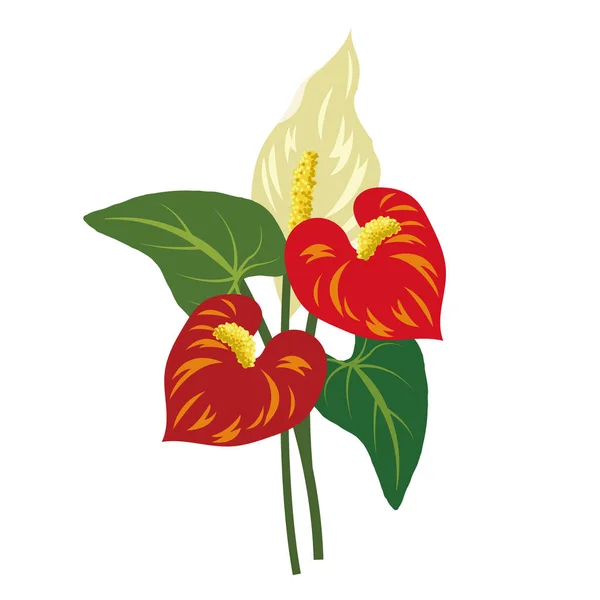 Natura Fiore Rosso Anthurium Fenicottero Fiore Vettore Botanico Giardino Pianta — Vettoriale Stock