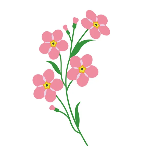 Nature flower pink forget me not, vector botanic garden floral leaf plant.