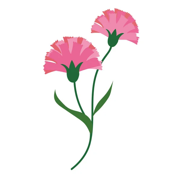 Nature Fleur Oeillets Roses Vecteur Botanique Jardin Floral Feuille Plante — Image vectorielle
