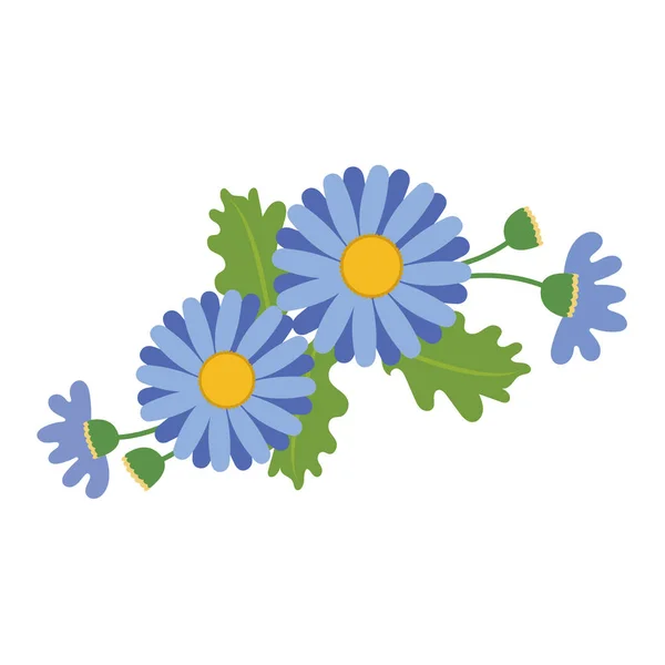 Příroda Květina Modrá Sedmikráska Vektorové Botanická Zahrada Květinové Listy Rostlin — Stockový vektor