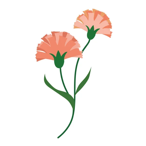Příroda Květina Oranžová Karafiáty Vektorové Botanická Zahrada Květinové Listy Rostlin — Stockový vektor