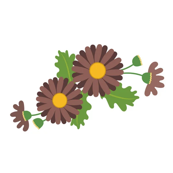 Příroda Květina Hnědá Sedmikrásky Vektorové Botanická Zahrada Květinové Listy Rostlin — Stockový vektor