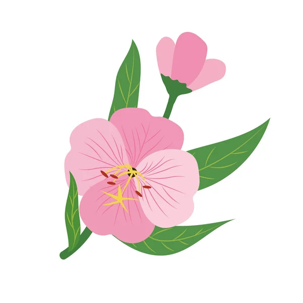 Nature Fleur Rose Onagre Vecteur Botanique Jardin Floral Feuille Plante — Image vectorielle