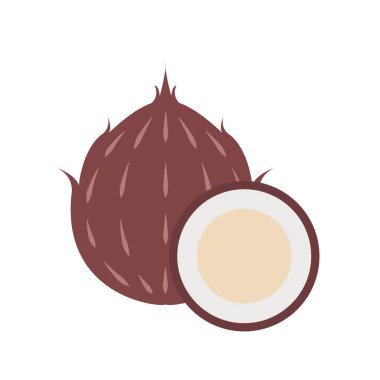 Sağlıklı organik Hindistan cevizi, renkli tropikal doğa taze meyve nesneleri.