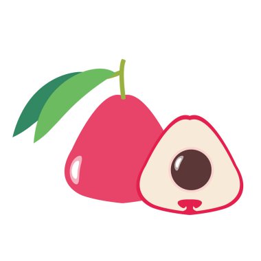 Sağlıklı organik malay elma, renkli tropikal doğa taze meyve nesneleri.