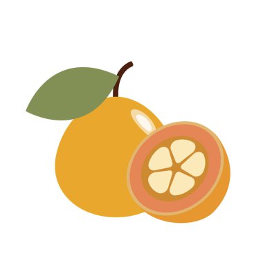 Sağlıklı organik santol meyve, renkli tropikal doğa taze meyve nesneleri.