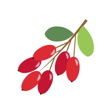 Sağlıklı organik kızamık, renkli tropikal doğa taze meyve nesneleri.