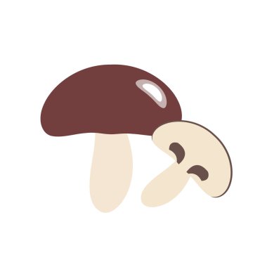 Doğa organik sebze Fungous mantar, sağlıklı vektör renkli sebze baharat bileşen.