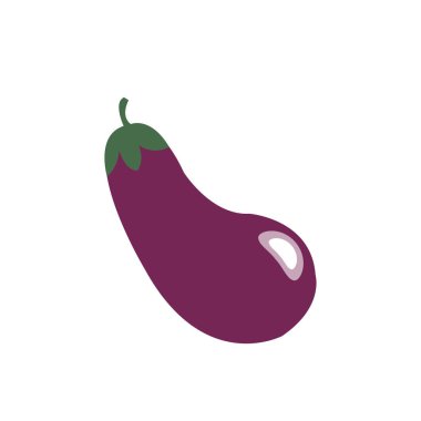 Doğa organik sebze patlıcan, sağlıklı vektör renkli gıda sebze baharat içerikler.