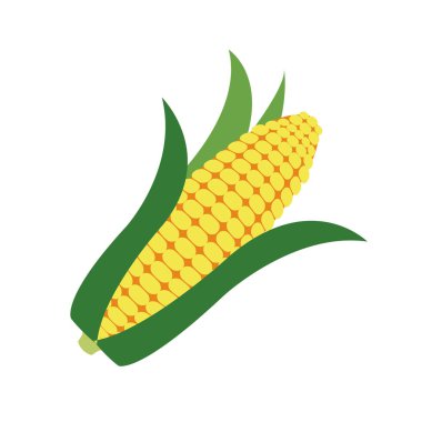 Doğa organik sebze Mısır, sağlıklı vektör renkli sebze baharat bileşen.