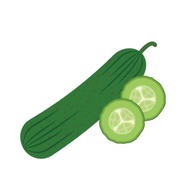 Doğa organik sebze salatalık, sağlıklı vektör renkli sebze baharat bileşen.