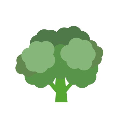 Doğa organik sebze brokoli, sağlıklı vektör renkli sebze baharat bileşen.