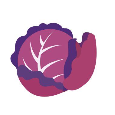 Doğa organik sebze mor lahana, sağlıklı vektör renkli sebze baharat bileşen.