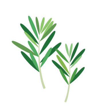 Doğa organik sebze biberiye, sağlıklı vektör renkli sebze baharat bileşen.