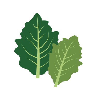 Doğa organik sebze ekmeğiiçine, sağlıklı vektör renkli sebze baharat bileşen.