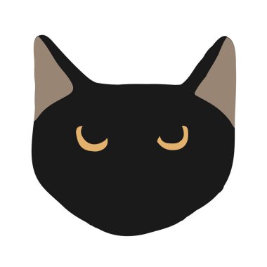 Sevimli kedicik kedi yüz kreş hayvan evde beslenen hayvan