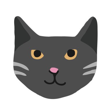 Sevimli kedicik kedi yüz kreş hayvan evde beslenen hayvan