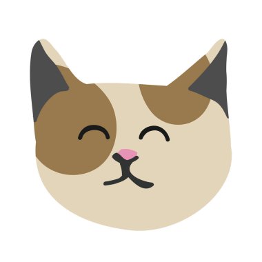 Sevimli kedicik kedi yüz kreş hayvan evde beslenen hayvan