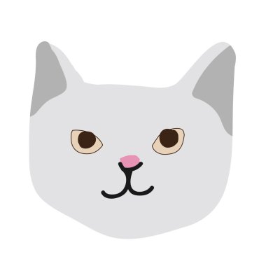 Sevimli kedicik kedi yüz kreş hayvan evde beslenen hayvan