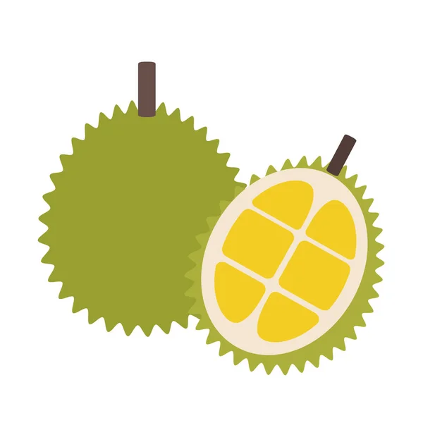 Durian Orgánico Saludable Colorida Naturaleza Tropical Objetos Frutas Frescas — Vector de stock