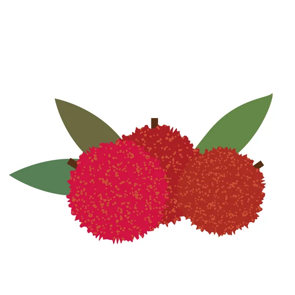 유기농 Bayberry 다채로운 자연의 신선한 — 스톡 벡터