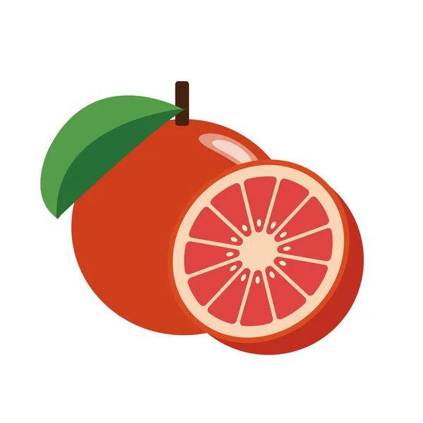 Здоровый Органический Красный Грейпфрут Красочная Тропическая Природа Свежие Фрукты Объекты — стоковый вектор