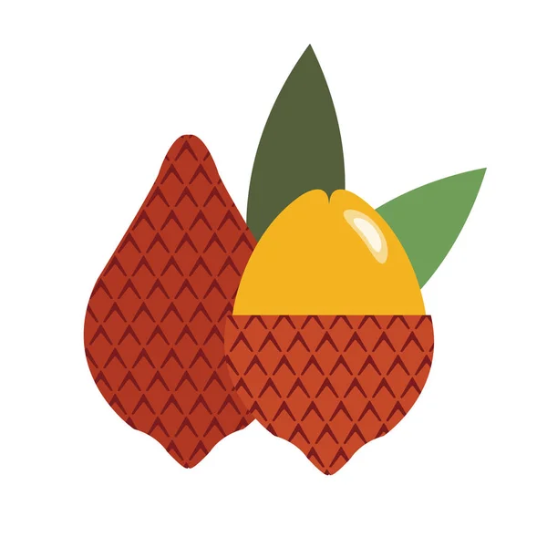 Hälsosam Ekologisk Salak Färgglada Tropiska Naturen Färsk Frukt Objekt — Stock vektor
