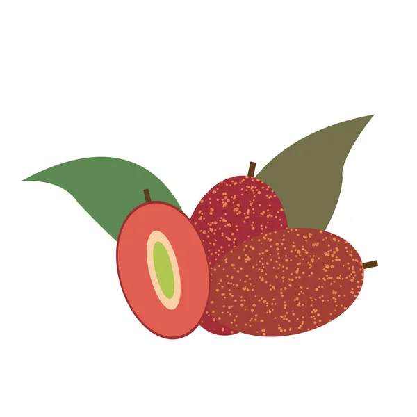 Elaeagnus Latifolia Nature Tropicale Colorée Fruits Frais — Image vectorielle