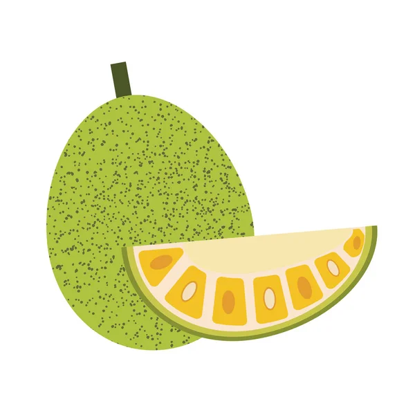 Jackfruit Bio Sain Nature Tropicale Colorée Objets Fruits Frais — Image vectorielle