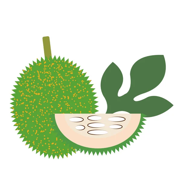 Υγιές Οργανικό Πράσινο Gac Φρούτων Φρέσκα Φρούτα Αντικείμενα Πολύχρωμη Τροπική — Διανυσματικό Αρχείο