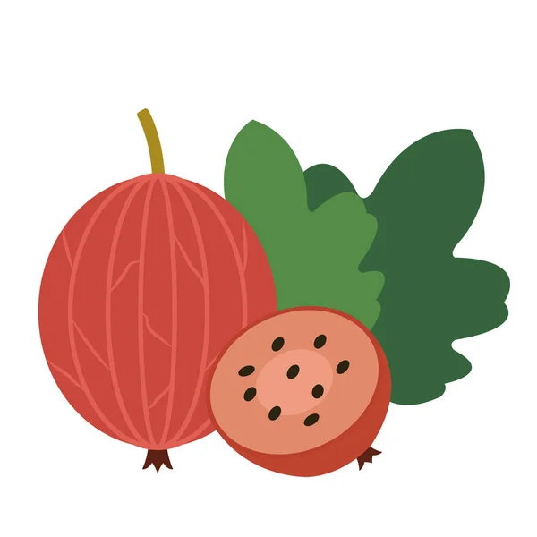 Hälsosamma Ekologiska Röda Krusbär Färgglada Tropiska Naturen Färsk Frukt Objekt — Stock vektor