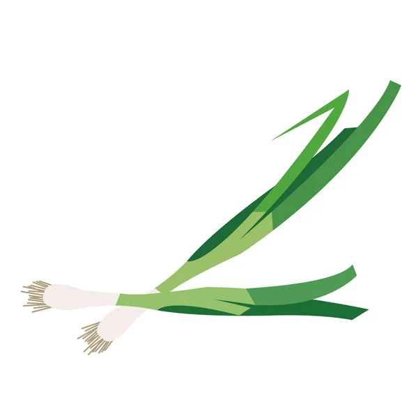Nature Légumes Biologiques Échelle Oignon Vert Vecteur Sain Coloré Aliment — Image vectorielle