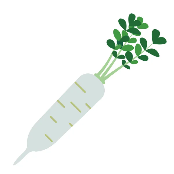 Naturaleza Vegetal Ecológico Rábano Daikon Vector Saludable Colorido Alimento Vegetal — Vector de stock