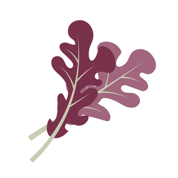 自然有機野菜オークの葉 健康的なベクトル カラフルな食品野菜スパイス成分 — ストックベクタ